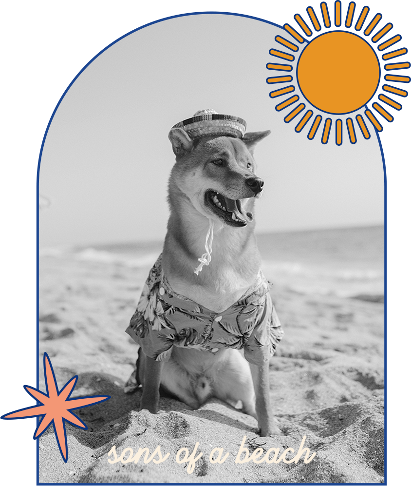 a hipster dog on the beach